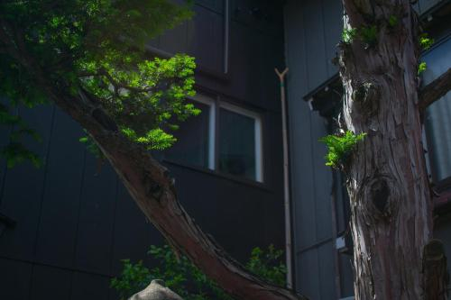 SATOYAMA STAY TONO-MACHI - Vacation STAY 77235v, Hida