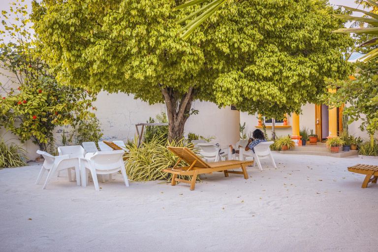 Public Area, Summer Vibes Beach Front Maldives, North Ari Atoll