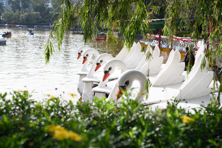 Others 3, Camp John Hay Baguio  cabin 6b, Baguio City
