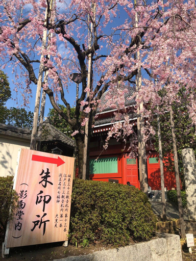 Asakusa Tokyo.1F/6 Rooms / 2 showers & toilets, Taitō
