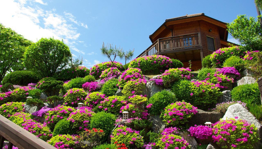 Others 2, Ecran Pension, Chuncheon