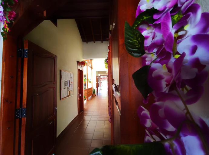 Others 3, La Casa de las Flores Hostal, Jardín