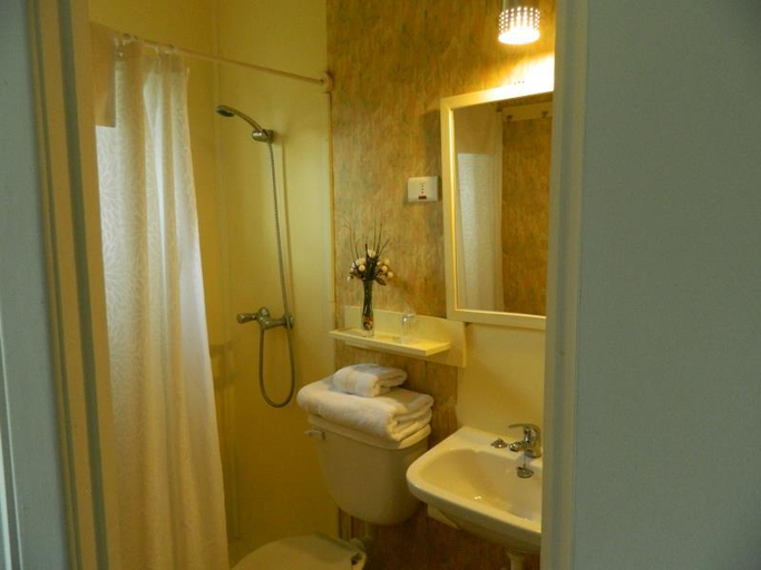 Bathroom 4, Hotel and Hostal Truyaca , Osorno