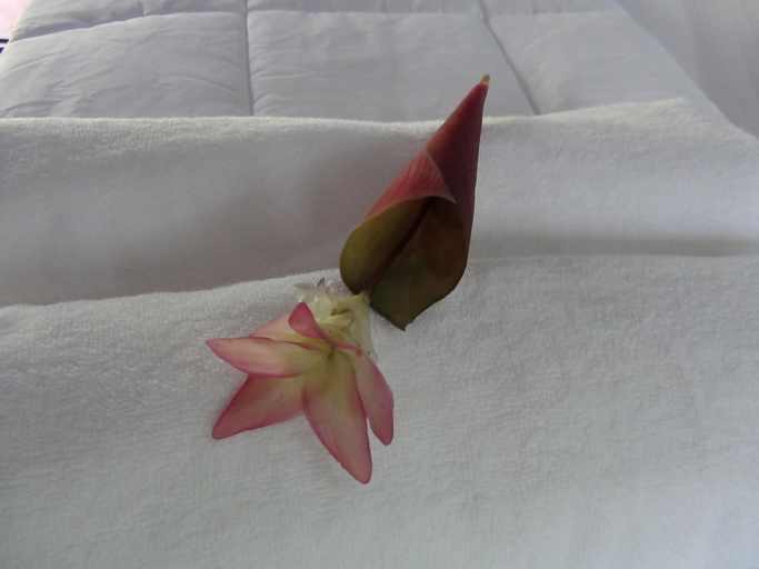 Bedroom 3, Tuaprodhome, Thai Mueang