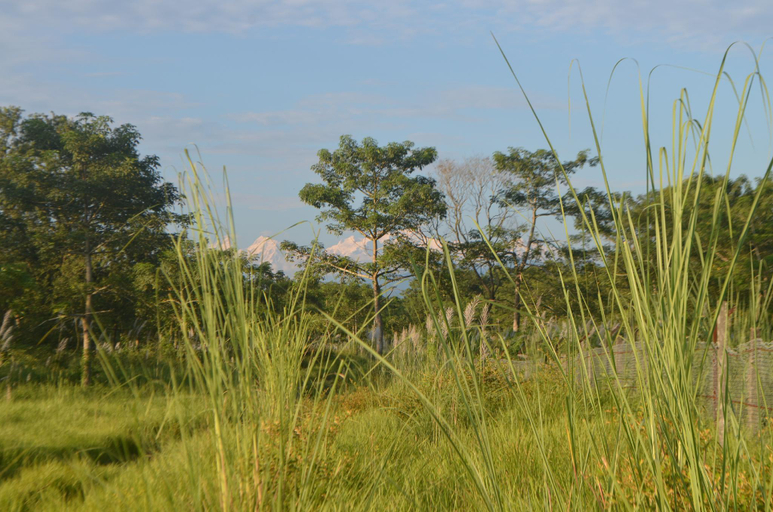 Surrounding environment 3, Meghauli Wildlife Resort, Narayani