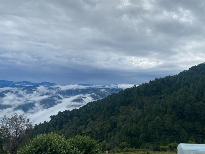 Others 5, Shanti Kunj Home Stay, Garhwal