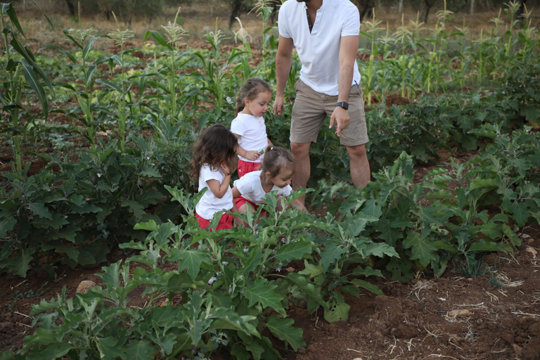 Others 5, The Ranch-Lodge and Equestrian Center, Koura