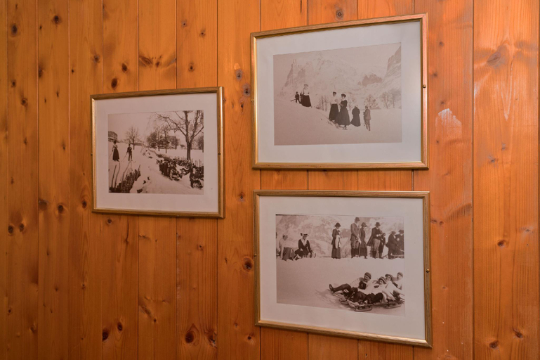 Public Area 2, Hotel Alpenblick, Interlaken