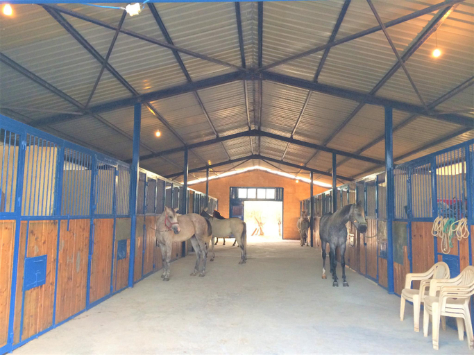 Food & Drinks 3, The Ranch-Lodge and Equestrian Center, Koura