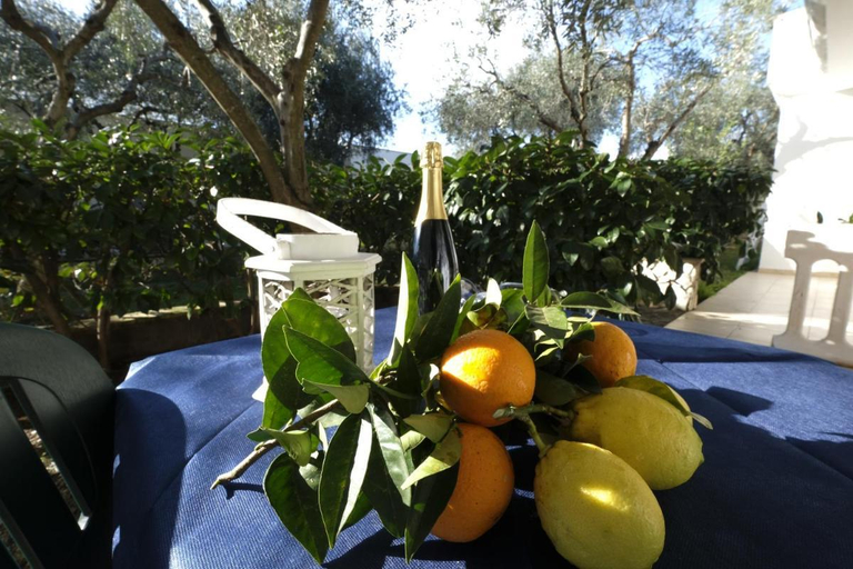 Food & Drinks 5, Apartment ulivo with pool and private beach, Foggia