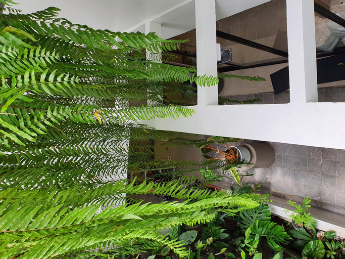 Public Area, Roompini, Pathum Wan
