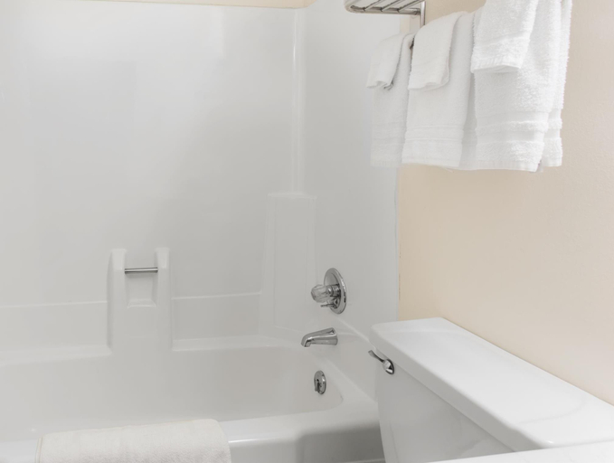 Bathroom 4, Rodeway Inn Leadville, Lake