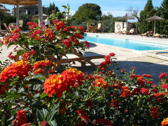 Sport & Beauty 2, Finca Sa Carrotja, Baleares
