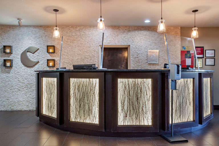 Public Area 2, Comfort Suites Georgetown, Williamson