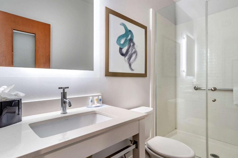 Bathroom 5, TRYP by Wyndham Tallahassee North I-10 Capital Circle, Leon