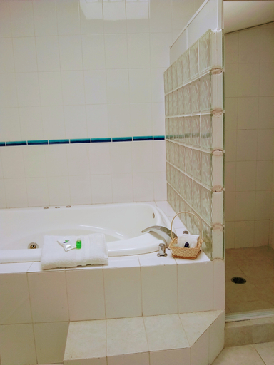Bathroom 3, Hacienda la Skondida, Huehuetoca