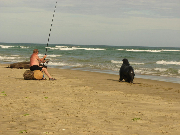 Others 5, Catlins Newhaven Holiday Park, Clutha
