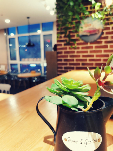 Food & Drinks, Starway Hotel Jining Taibai Middle Road Yunhecheng, Jining
