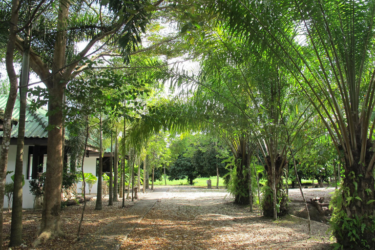 Others 2, Nimit Bungalow, Thai Mueang