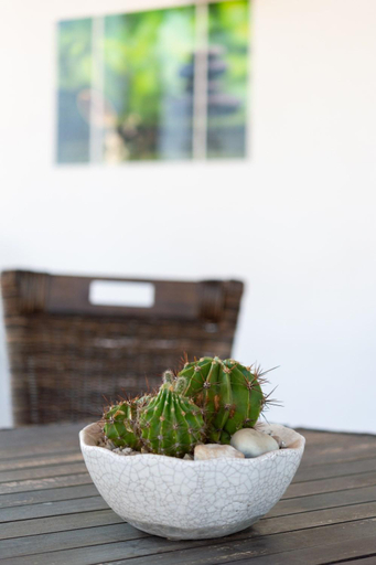 Food & Drinks 5, JACUZZI Villa, huge GARDEN, at Kalithea Springs, South Aegean