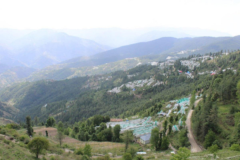 2, The Tikker, Shimla