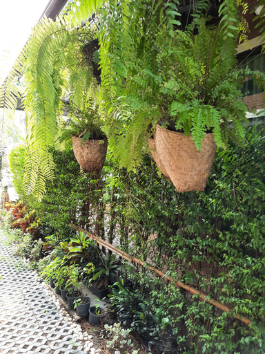 Others 5, PomPom Home., Bang Na