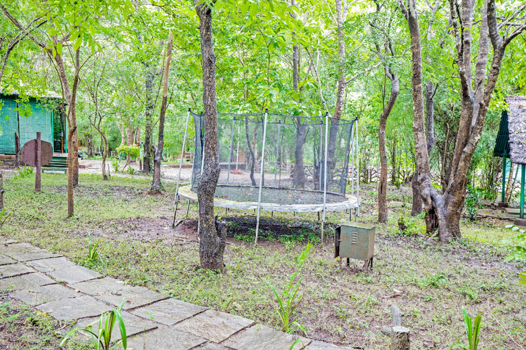 Others 3, Jungle Lodges And Resorts- Sakrebyle Elephant Camp, Shimoga