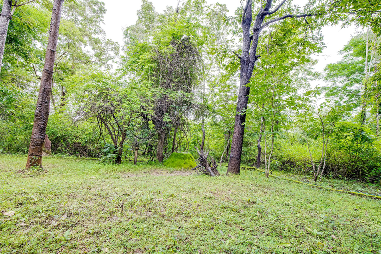 Others 2, Jungle Lodges And Resorts- Sakrebyle Elephant Camp, Shimoga