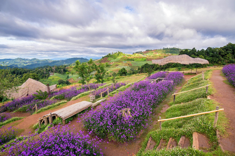 Nearby Landmark, SaengnuaCampping MonJaem, Mae Rim