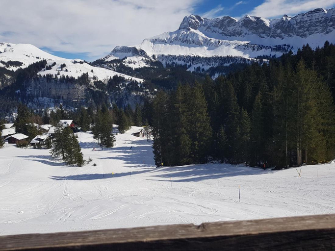 Others 3, Elfe - Apartments Three-bedroom Apartment for 6 guests with patio, Nidwalden