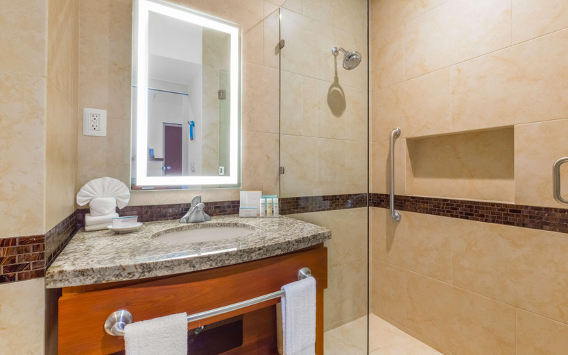 Bathroom 5, Hampton Inn and Suites By Hilton Los Cabos, La Paz