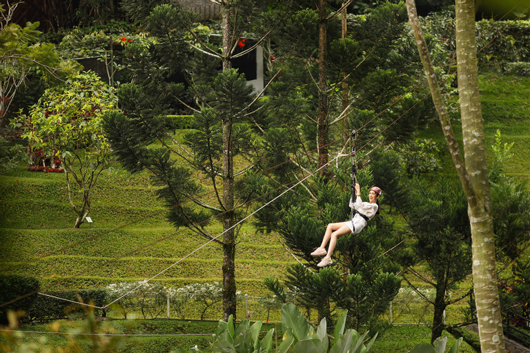 Exterior & Views 5, Padma Hotel Bandung, Bandung