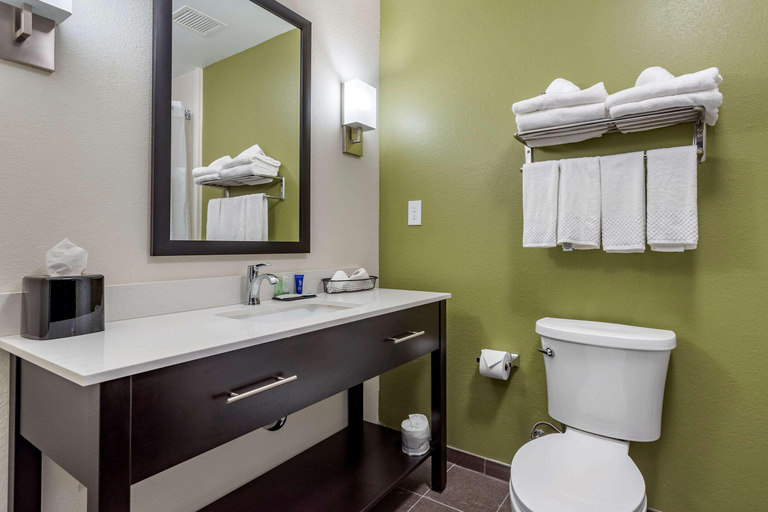 Bathroom 4, Sleep Inn & Suites Crosby, Houston