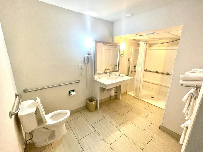 Bathroom 4, Red Roof PLUS+ & Suites Tampa - Busch Gardens, Hillsborough