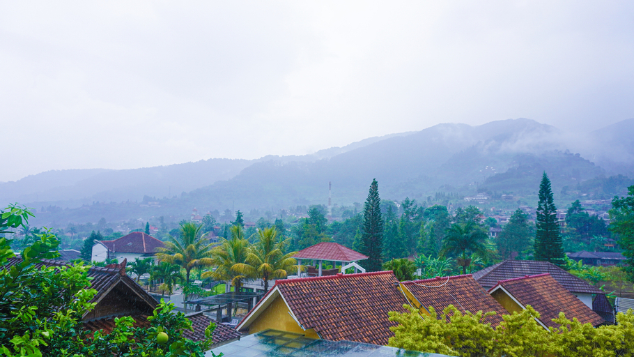 Scenery