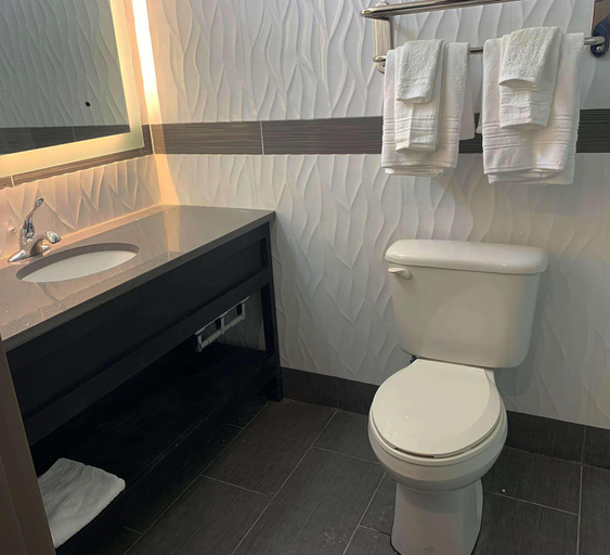 Bathroom, Brooklyn Vybe Hotel, Ascend Hotel Collection, New York