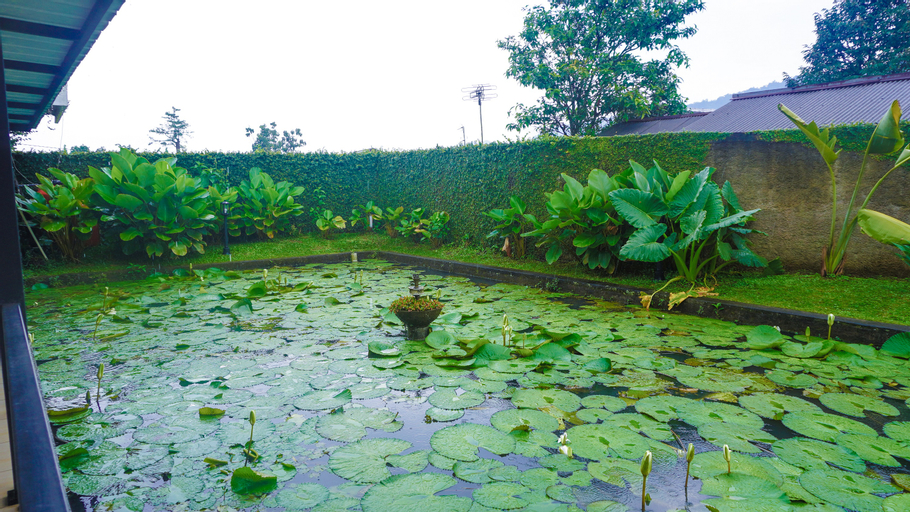Scenery 10