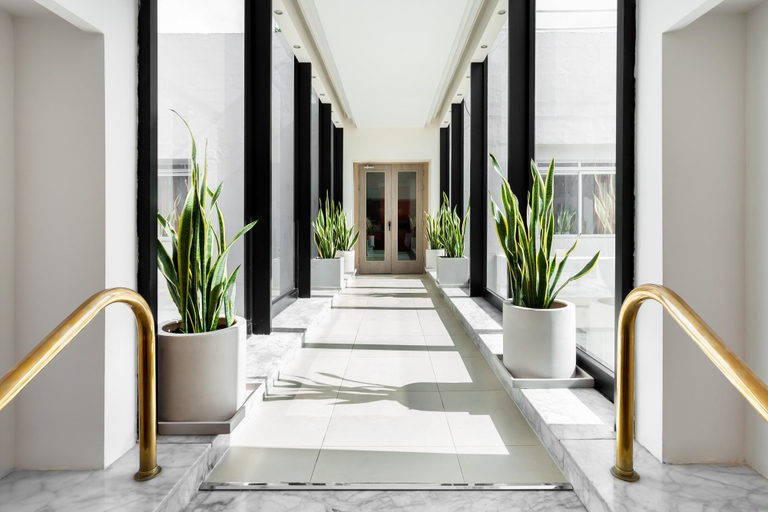 Public Area 2, Plaza Regency Hotels