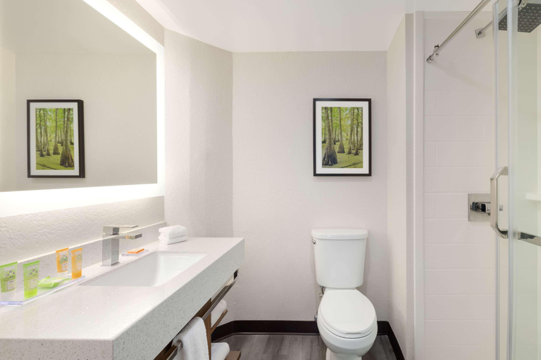 Bathroom 4, Four Points by Sheraton Alexandria, Rapides