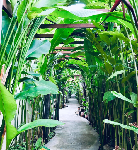 Exterior & Views 2, Shewe Wana Boutique Resort & Spa, Muang Chiang Mai