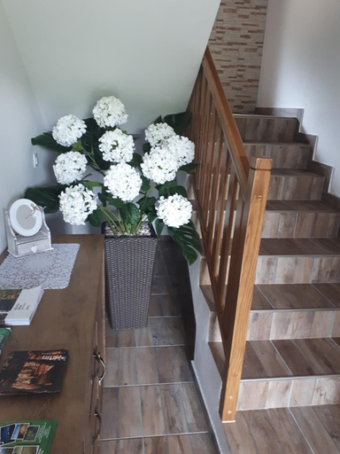 Public Area, House Flora, Plitvička Jezera