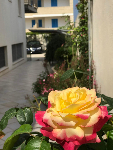 Exterior & Views, Hotel Teti, Lecce