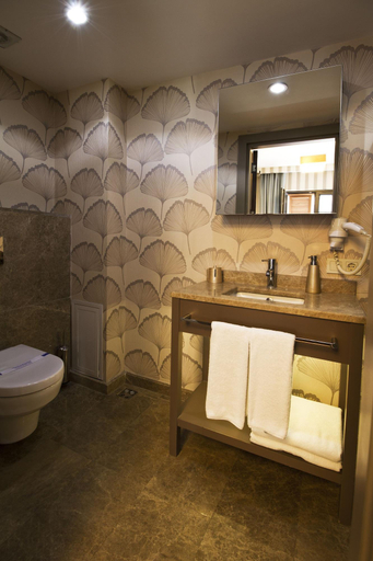 Bathroom 5, Alba Hotel, Beyoğlu
