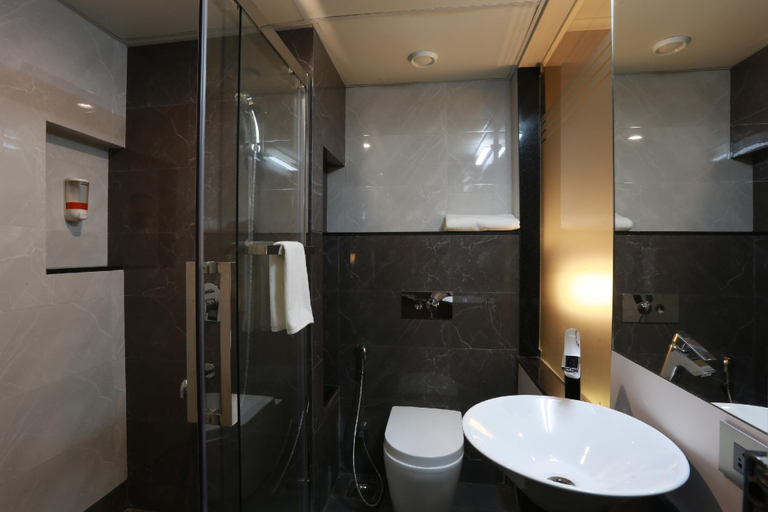 Bathroom 4, Grande Delmon, North Goa