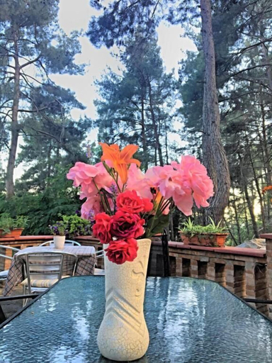 Sport & Beauty 5, Semiramis Boutique Hotel & Spa