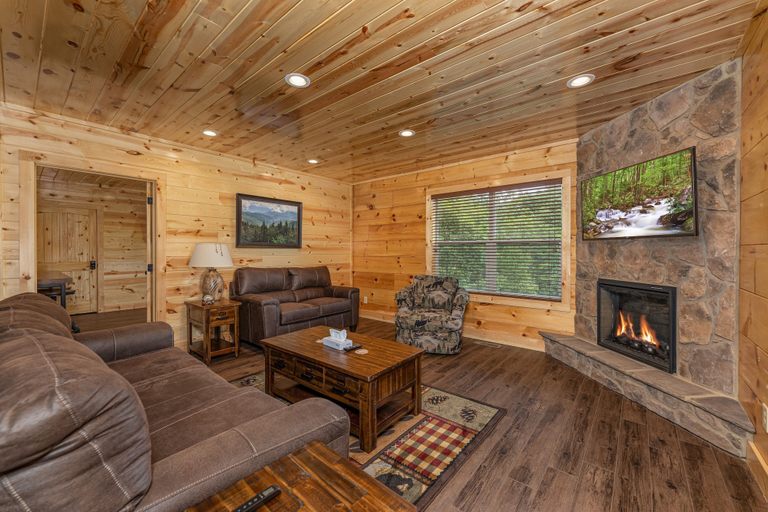 Public Area 2, Mountain Bearadise, Sevier