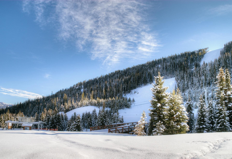 Others 5, Lone Moose Meadows Unit 204, Gallatin