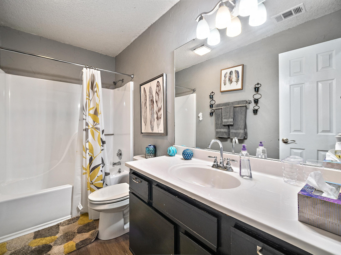 Bathroom 5, Table Rock Escape at Pointe Royale, Taney