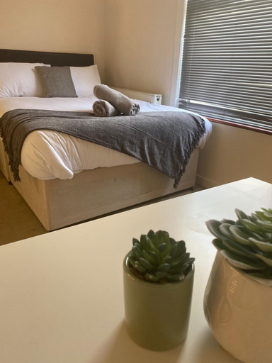 Others 5, Reading 3 bed 2 bath, Reading