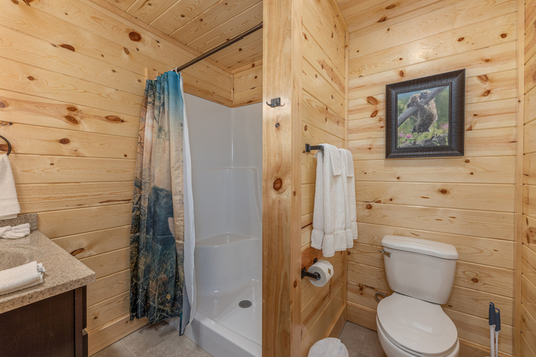 Bathroom 4, Mountain Bearadise, Sevier